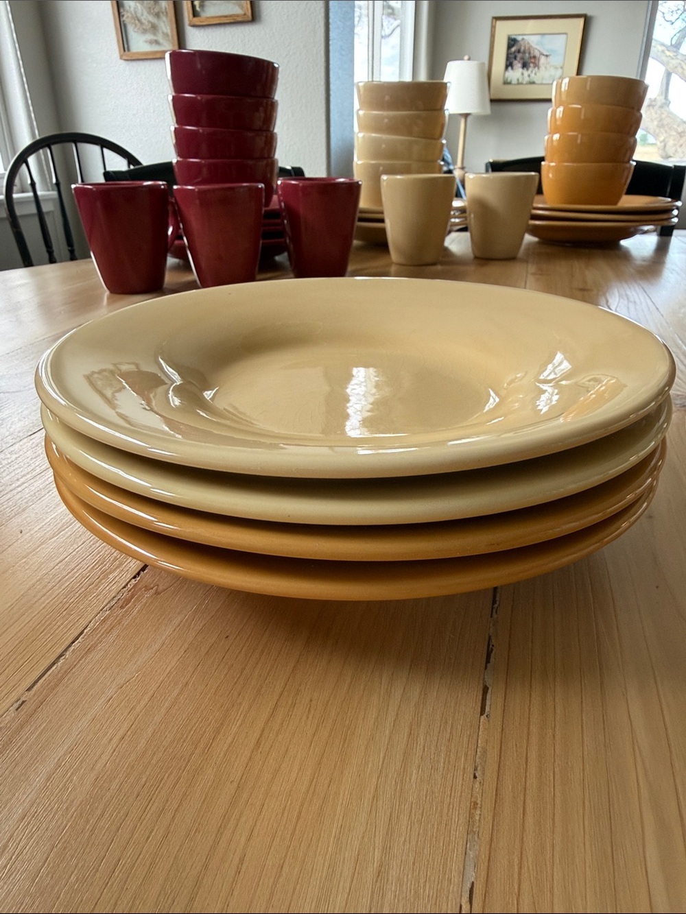 Pottery Barn Sausalito Dinner Plates- Set of 4 Ivory/Natural and Amber